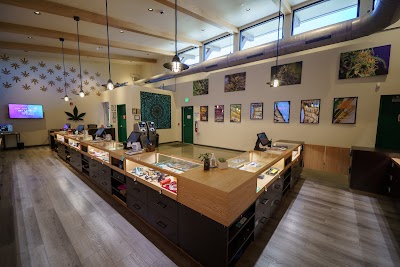 Dispensary Exit 243 Rec