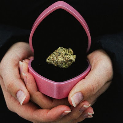 Dispo Dispensary Bay City South