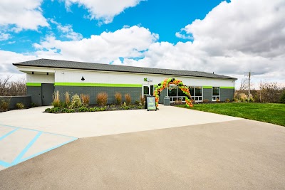 Dispo Dispensary Whitmore Lake