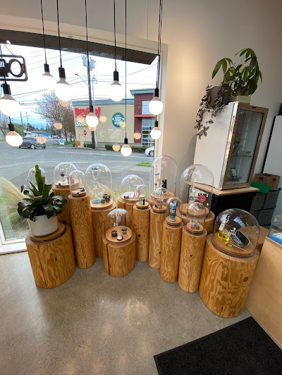 Dockside Cannabis - Ballard | Pot | Weed | Marijuana | Dispensary