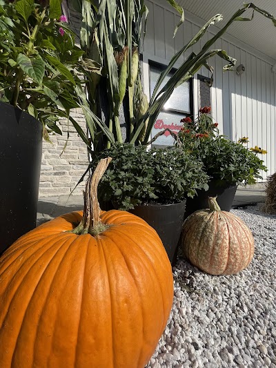 Doobiez - NJ Weed Delivery & Dispensary