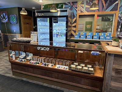 Double Dogs Weed Dispensary Sidney