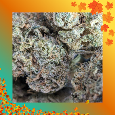 Dubway Dispensary LLC