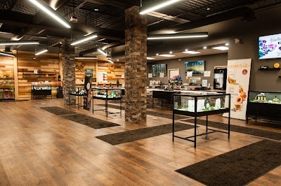 Due North Cannabis Co. | Sault Ste. Marie (Churchill) Weed Store