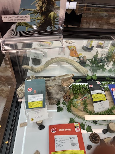 Due North Cannabis Co. | Sault Ste. Marie (Churchill) Weed Store