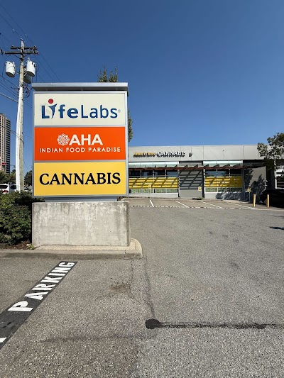 Dutch Love | City Centre