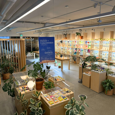 Dutch Love | Kelowna Cannabis Dispensary