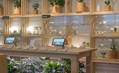 Dutch Love | Yaletown, Vancouver Cannabis Dispensary | Same Day Weed Delivery