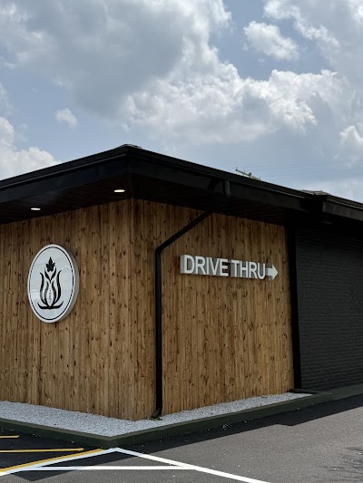 Earth & Ivy Lakehurst