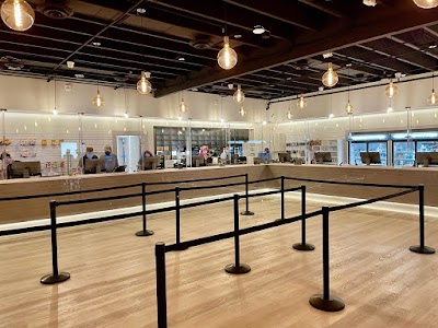 Earth's Healing South