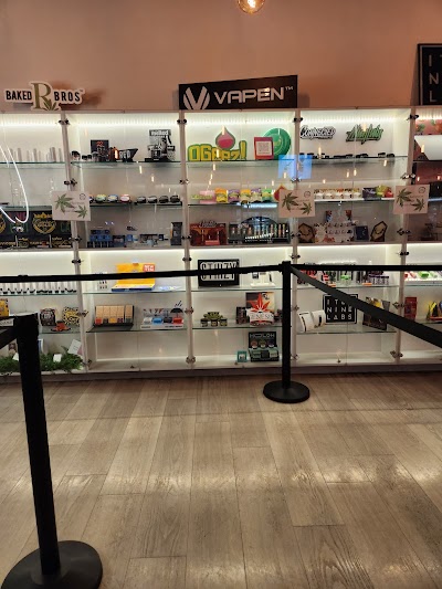 Earth's Healing South