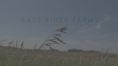 East River Farms Medical Dispensary