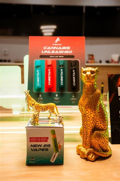 Eastern Green Voorhees