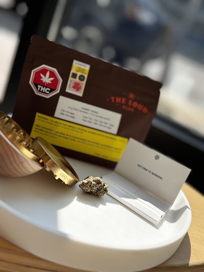 Edition X - Cannabis Dispensary