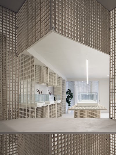 Edition X - Cannabis Dispensary