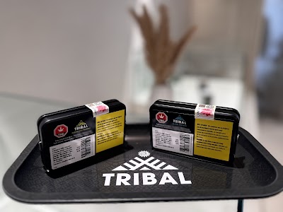 Edition X - Cannabis Dispensary