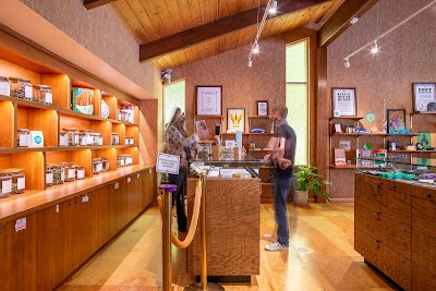 Electric Lettuce Dispensary