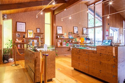 Electric Lettuce Dispensary