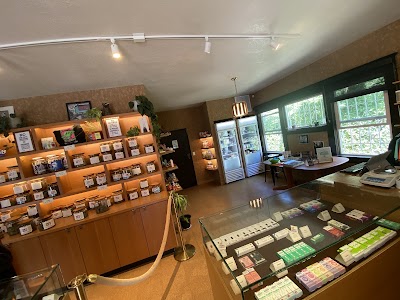 Electric Lettuce Dispensary