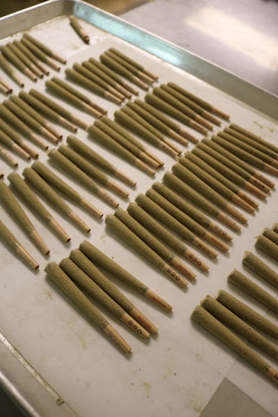 Elevate Maine Medical Cannabis Yarmouth