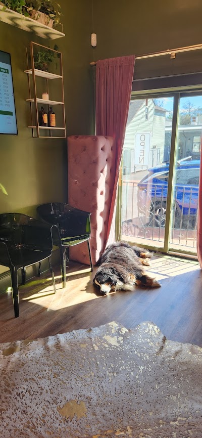 Elevated by TheCannaBossLady: Recreational Cannabis Dispensary, Maplewood NJ