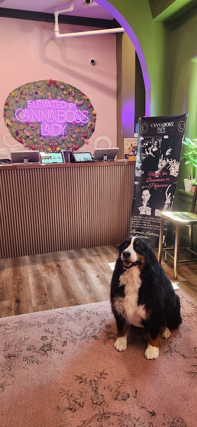 Elevated by TheCannaBossLady: Recreational Cannabis Dispensary, Maplewood NJ