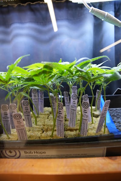 Elevation 2477' Cannabis Dispensary