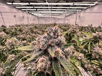 Emerald Fire Farms and Provisioning Center