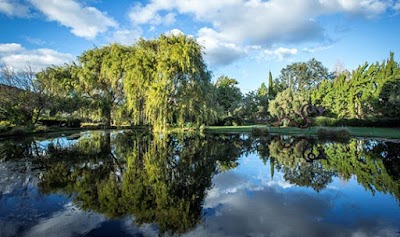 Emerald Pharms Cannabis Dispensary and Resource Center