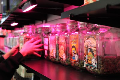 Enchanted Botanicals Menaul - Cannabis Dispensary