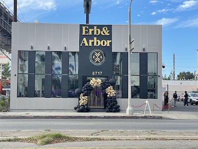 Erb and Arbor