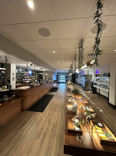 Evergreen Cannabis Weed Dispensary