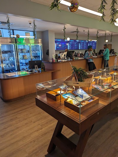 Evergreen Cannabis Weed Dispensary