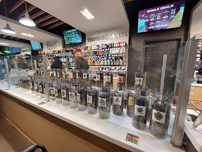 Exclusive Ann Arbor Marijuana & Cannabis Dispensary