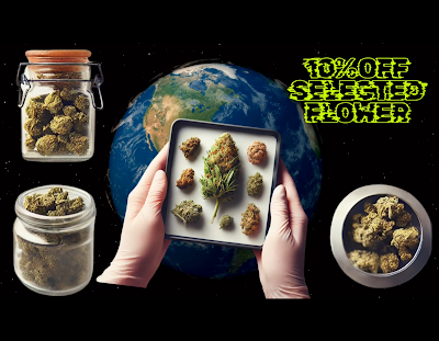 Exclusive Caregivers