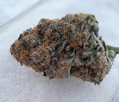 Farley's Cannabis Farm (Medical)