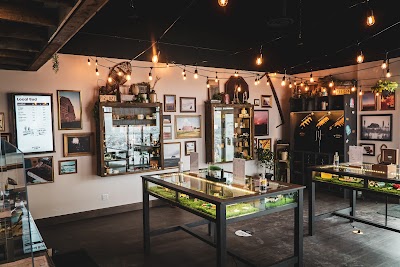 Farmer Jane Cannabis Co.