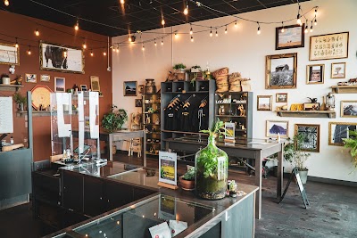 Farmer Jane Cannabis Co.