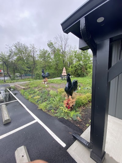 Feels of Green Dispensary