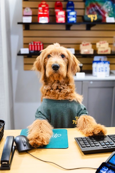 Fine Fettle - Stamford