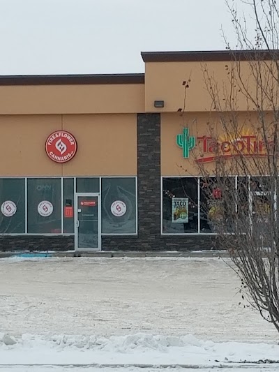Fire & Flower Cannabis Co. | Estevan Weed Store
