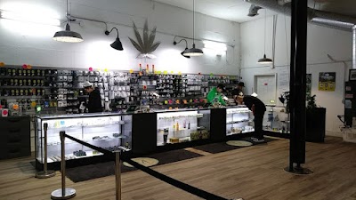 Fire Cannabis Co - Cannabis Store