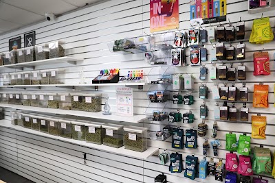 Fired Cannabis - Evans