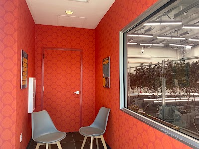 FireFlower Craft Cannabis