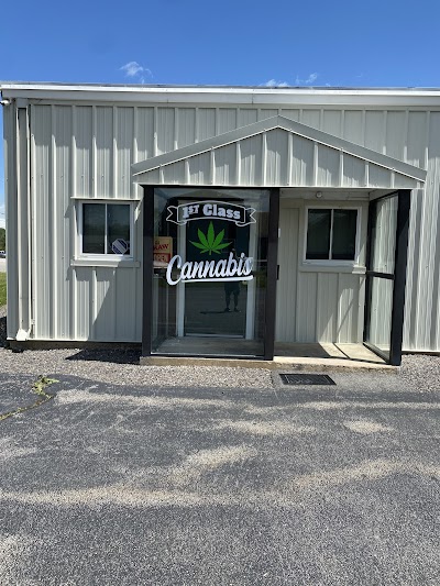 First Class Cannabis (Medical)