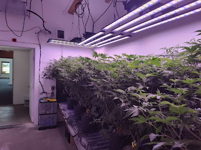 First Class Grass Farm