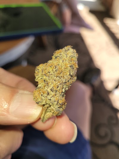 Five Star Medical Dispensary