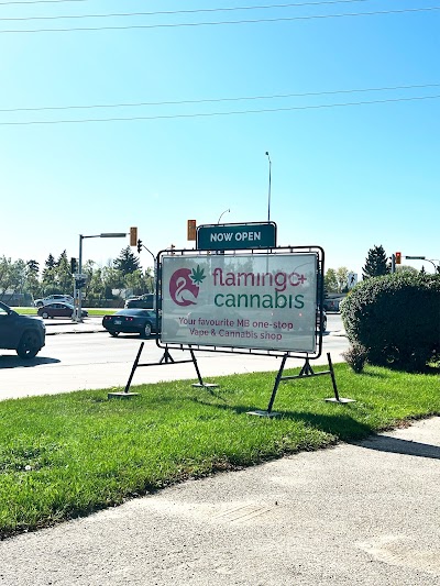 Flamingo+ Cannabis