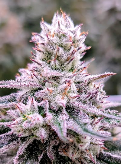 Flatirons Reserve Dispensary