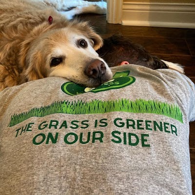 Flora Farms Ozark Dispensary